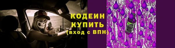 шишки Рославль