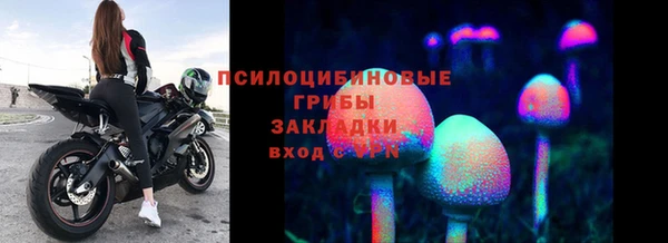 Альфа ПВП Россошь