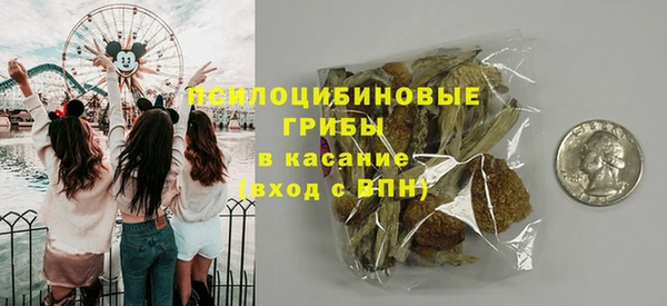 шишки Рославль