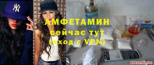 шишки Рославль