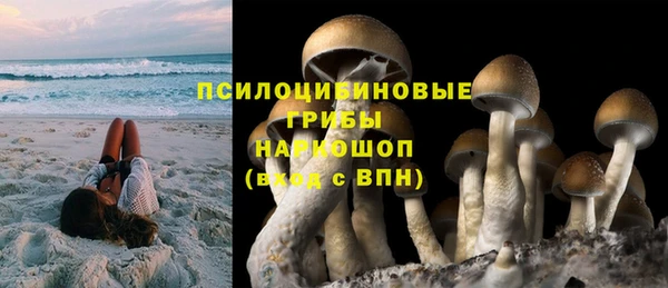Альфа ПВП Россошь