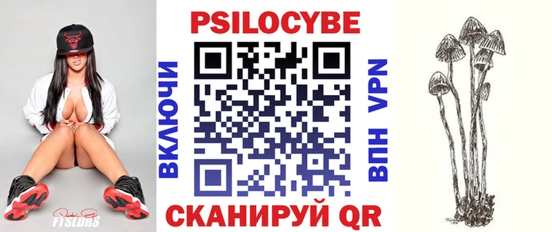 Купить где  Кириши  Галлюциногенные грибы Psilocybe 
